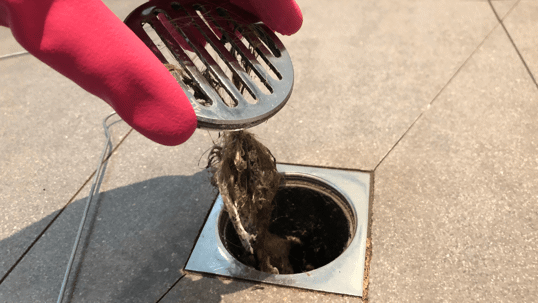 Clearing your Drains: Why You Need a Professional Plumber
